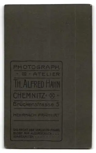 Fotografie Th. Alfred Hahn, Chemnitz, Brückenstr. 5, Junge Frau mit Buch in edler Kleidung