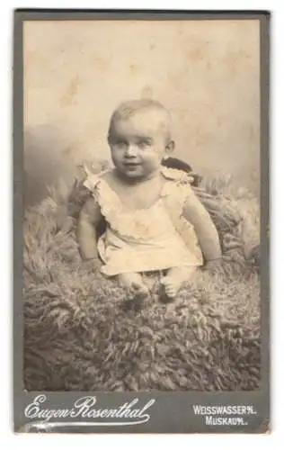 Fotografie Eugen Rosenthal, Weisswasser, Porträt eines sitzenden Kleinkindes auf einem flauschigen Untergrund