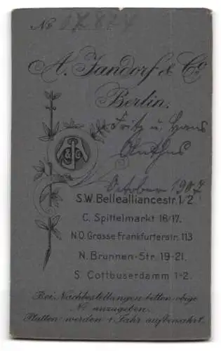 Fotografie A. Jandorf & Co., Berlin, S.W. Bellealliancestr. 1 /2, Zwei Jungen in Matrosenanzügen