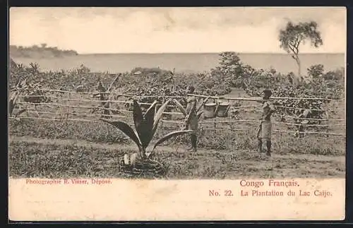 AK Lac Caijo /Congo Francais, Le Plantation du Lac Caijo