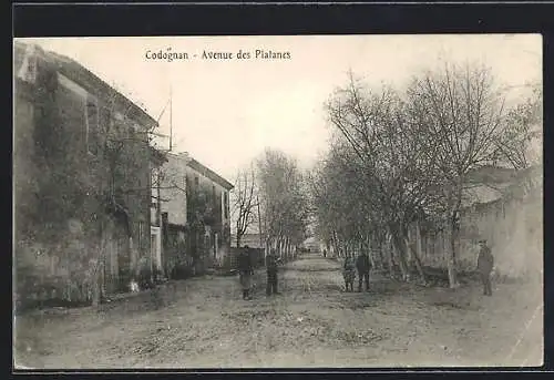 AK Codognan, Avenue des Platanes