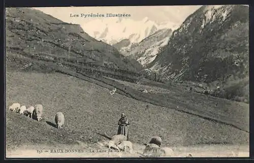 AK Eaux-Bonnes, La Laite de Bas, Les Pyrénées Illustrées, Schafe auf einer Weide