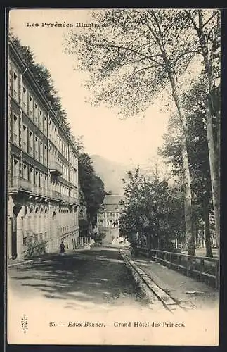 AK Eaux-Bonnes, Les Pyrénées Illustrées, Grand Hôteldes Princes