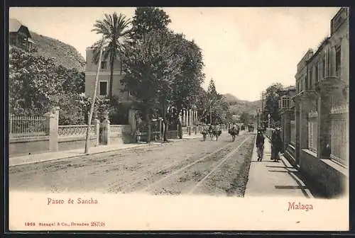 AK Malaga, Paseo de Sancha