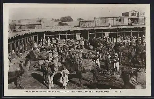 Foto-AK Peshawar, Caravan Arriving From Kabul into Camel Market