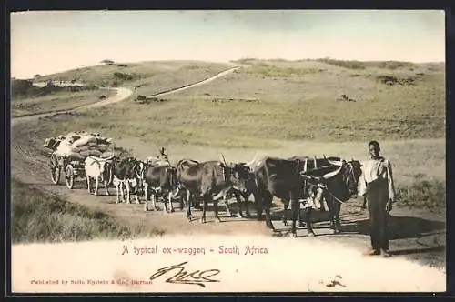 AK South Africa, A typical ox-waggon