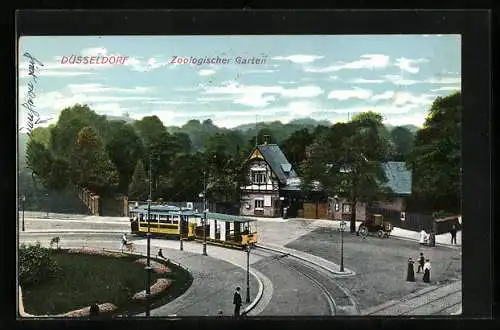 AK Düsseldorf, Zoologischer Garten