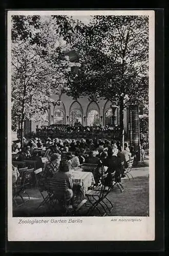 AK Berlin, Zoologischer Garten, Am Konzertplatz