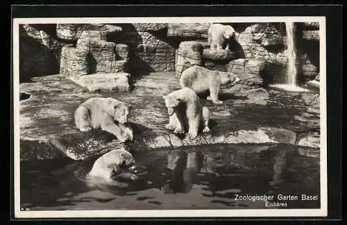 AK Berlin, Zoologischer Garten, Eisbären, Polarbären