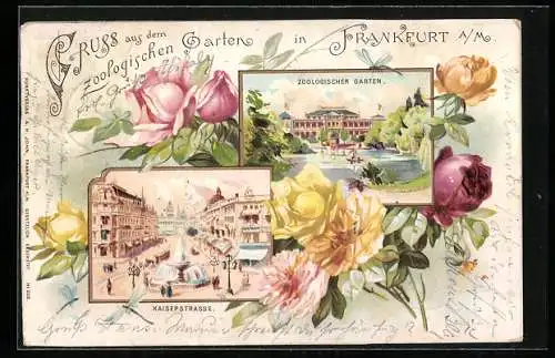 Passepartout-Lithographie Frankfurt a. M., Kaiserstrasse und Zoologischer Garten, Rosen