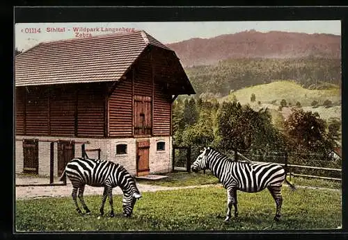 AK Langnau /Sihltal, Wildpark Langenberg, Zebras