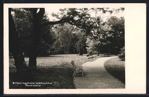 AK Maria Enzersdorf, Erholungsheim Wällischhof der Krankenfürsorgeanstalt der Angestellten Wien, Parkmotiv