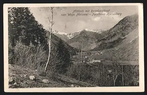 AK Mittlach, Panorama mit Rotenbachkopf vom Wege Metzeral, Forsthaus Herrenberg