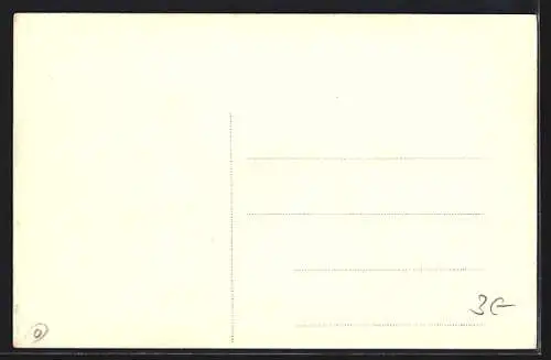 AK Lembach /O. Oest., Ortsansicht, Panorama