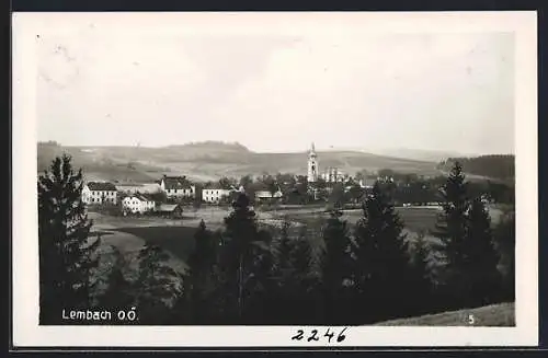 AK Lembach /O.Ö., Ortsansicht hinter Tannen