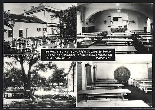AK Maria Enzersdorf, Weingut Stift Schotten mit Gasthaus, Lichtensteinstrasse 68