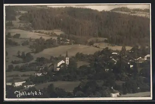 AK Julbach /O.Ö., Ortsansicht vom Berg aus