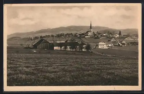 AK Ulrichsberg /O.-Ö., Ortsansicht vom Feld aus