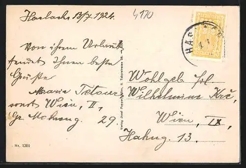 AK Haslach /O.-Öst., Ortspartie am Fluss