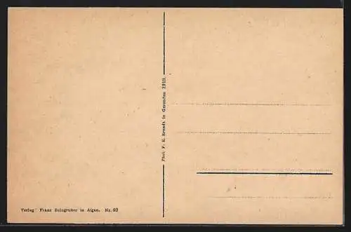 AK Haslach /Ob.-Oest., Gesamtansicht vom Berg aus