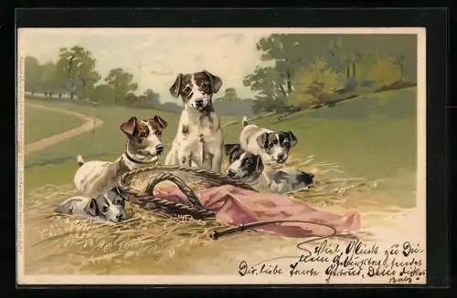 Lithographie Ein Wurf junger Hunde mit Körbchen im Park