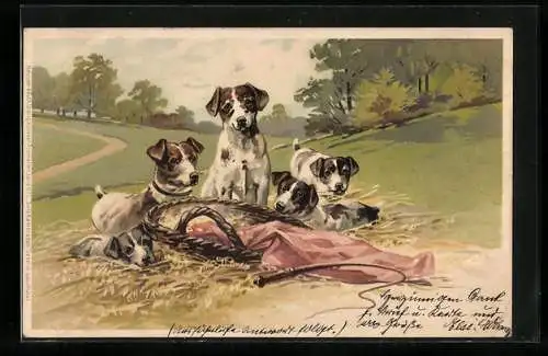 Lithographie Ein Wurf junger Hunde mit Körbchen im Park