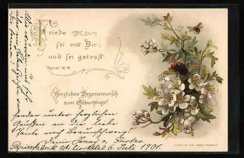 Lithographie Blühender Zweig mit fliegendem Käfer und fliegender Biene, Geburtstagsgruss