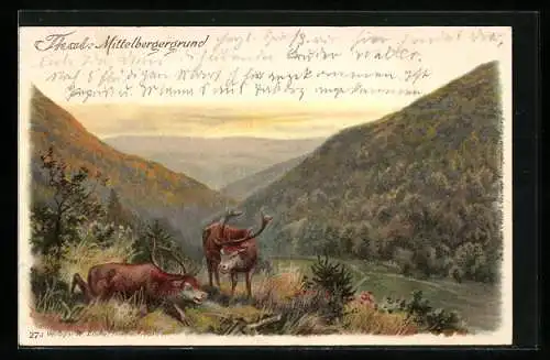 Lithographie Thal, Mittelbergergrund, Berglandschaft mit Hirschen