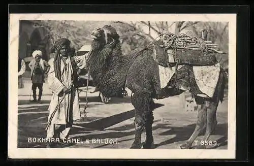 AK Bokhara Camel & Baluch