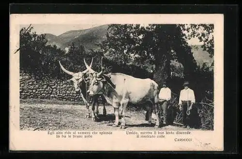 AK Bauern mit Ochsen-Gespann in Italien