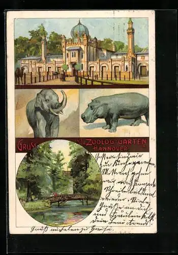 Künstler-AK Hannover, Zoologischer Garten, Elefant, Nilpferd