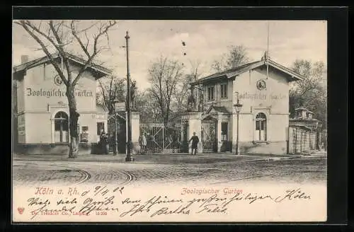 AK Köln a. Rh., Zoologischer Garten