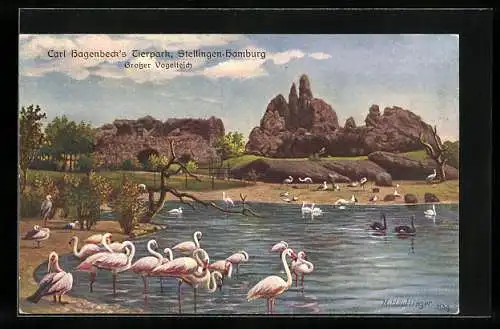 Künstler-AK Hamburg-Stellingen, Carl Hagenbeck`s Tierpark, Grosser Vogelteich