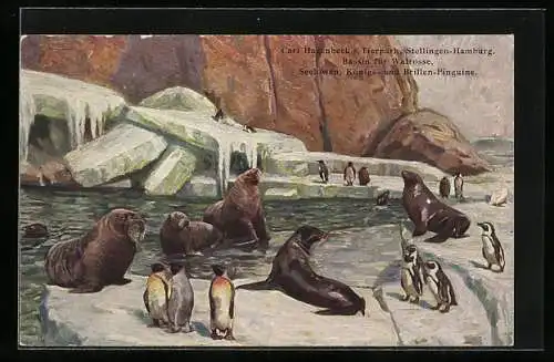 Künstler-AK Hamburg-Stellingen, Carl Hagenbecks Tierpark, Bassin für Walrosse, Seelöwen und Pinguine