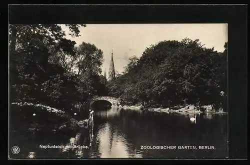 AK Berlin, Zoologischer Garten, Neptunteich mit Brücke