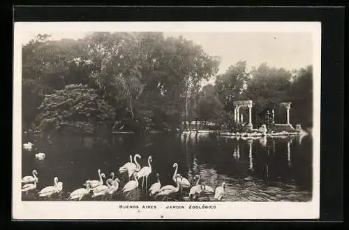 AK Buenos Aires, Jardin Zoológico