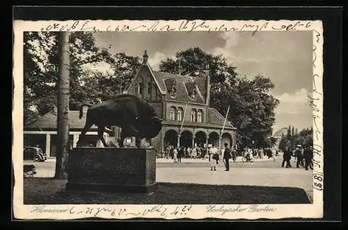 AK Hannover, Eingang zum Zoologischen Garten mit Strasse