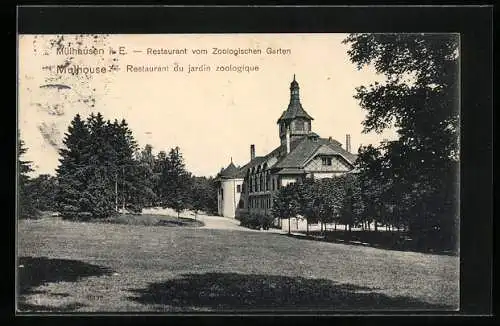 AK Mülhausen i. E., Restaurant vom Zoologischen Garten