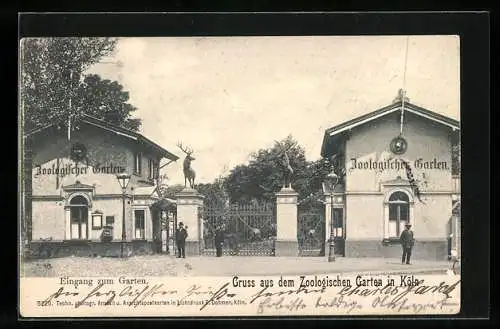 AK Köln, Eingang zum Zoologischer Garten