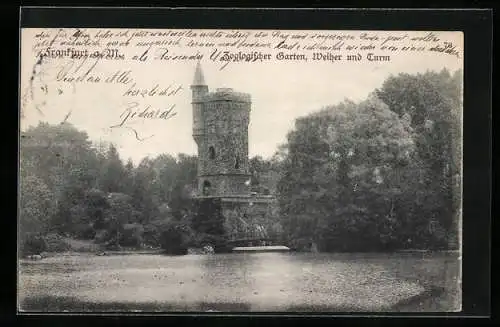 AK Frankfurt a. M., Zoologischer Garten, Weiher und Turm