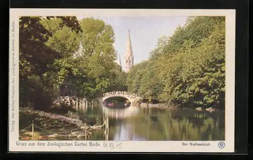 AK Berlin, Zoologischer Garten, Der Neptunsteich