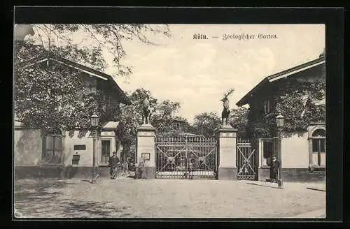 AK Köln, Eingang zum Zoologischen Garten