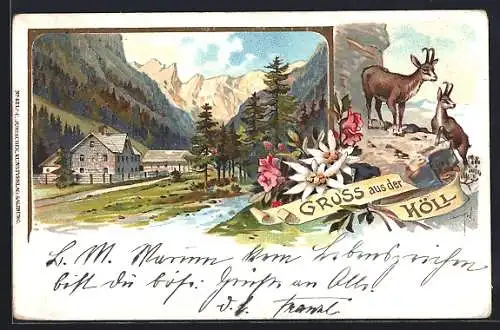 Lithographie Schladming, Gruss aus der Höll, Gemsen