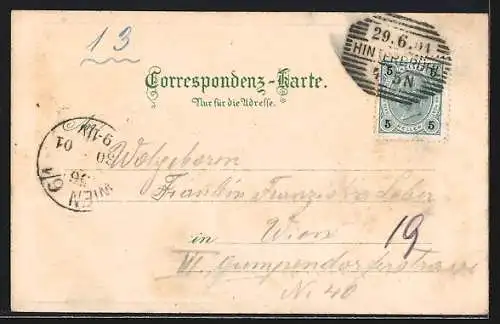 Lithographie Hinterbrühl, Ortsansicht von oben, Höldrichsmühle, Blumen