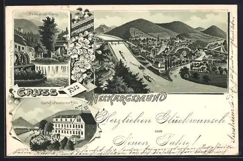 Lithographie Neckargemünd, Gasthof u. Pension z. Pfalz, Partie an der Elsenz