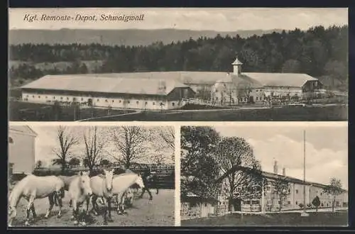 AK Schwaigwall, Kgl. Remonte-Depot: Pferde, Gebäude, Gesamtansicht aus der Vogelschau
