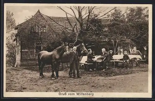 AK Wilfenberg, Gasthaus von Karl Motzer mit Pferden