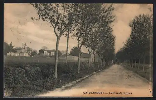 AK Caissargues, Avenue de Nîmes