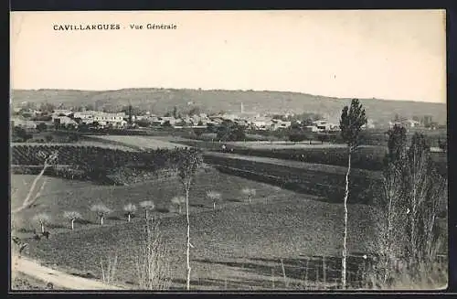 AK Cavillargues, Vue Générale