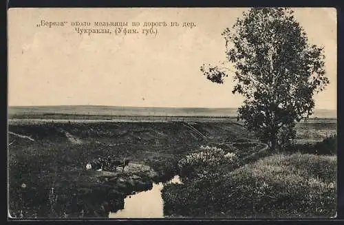 AK Tschukraki bei Ufa, Birke und Bachlauf nahe der Mühle